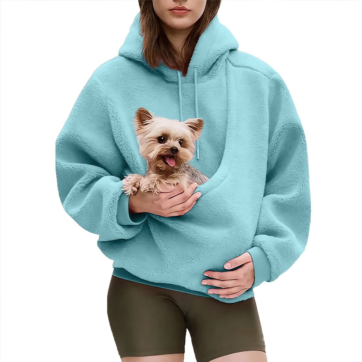 Sky Blue hoodie with a small dog in the pouch